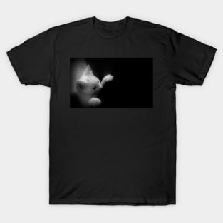 Peekin` The Boo T-Shirt